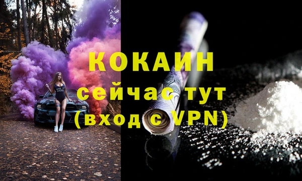 Альфа ПВП Сосновый Бор