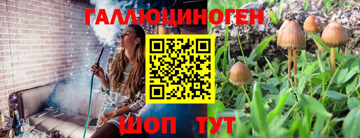 Псилоцибиновые грибы Psilocybine cubensis  купить закладку  Псилоцибиновые грибы GOLDEN TEACHER  Усть-Илимск  Вход с VPN 