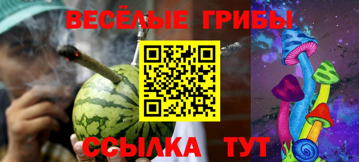 Псилоцибиновые грибы Psilocybe Усть-Илимск